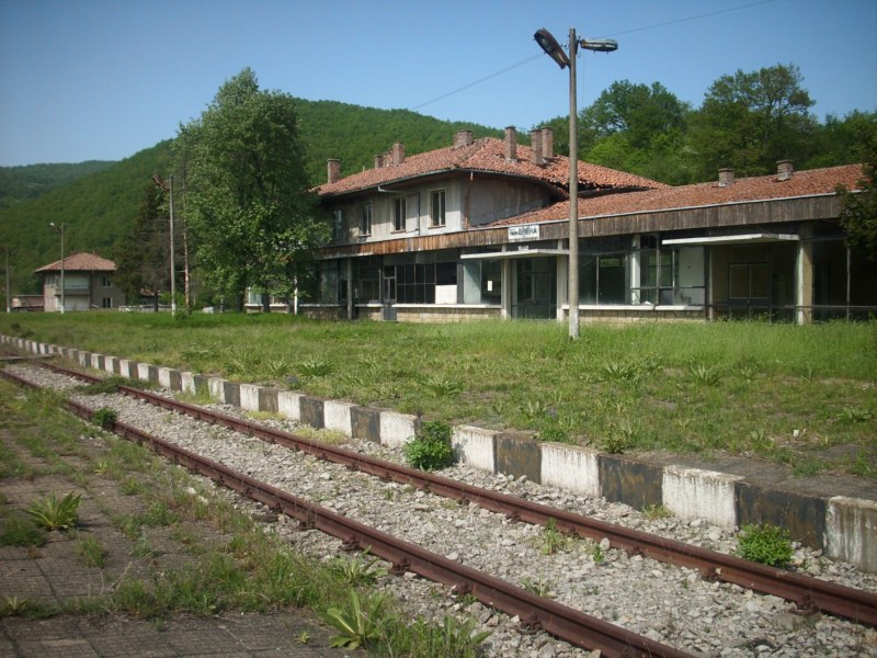 Гара Елена
